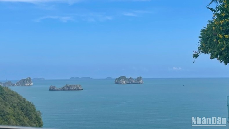 共同守护海洋生态系统。