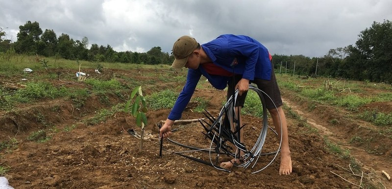 安装节水灌溉系统可有效提升作物产量。
