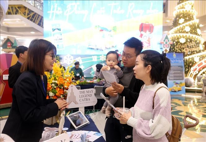 游客查找酒店的信息。（图片来源：越通社）