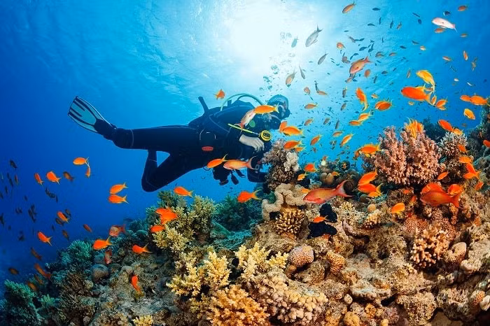 普吉岛是泰国的潜水天堂。 （图片来源：vi.hotels.com）