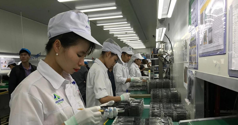 附图。（图片来源：越通社）