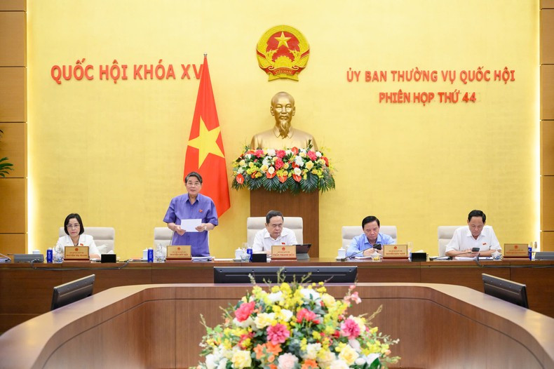 越南国会副主席阮德海在会上致辞。（惟灵 摄）