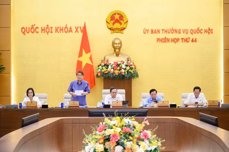 越南国会副主席阮德海在会上致辞。（惟灵 摄）