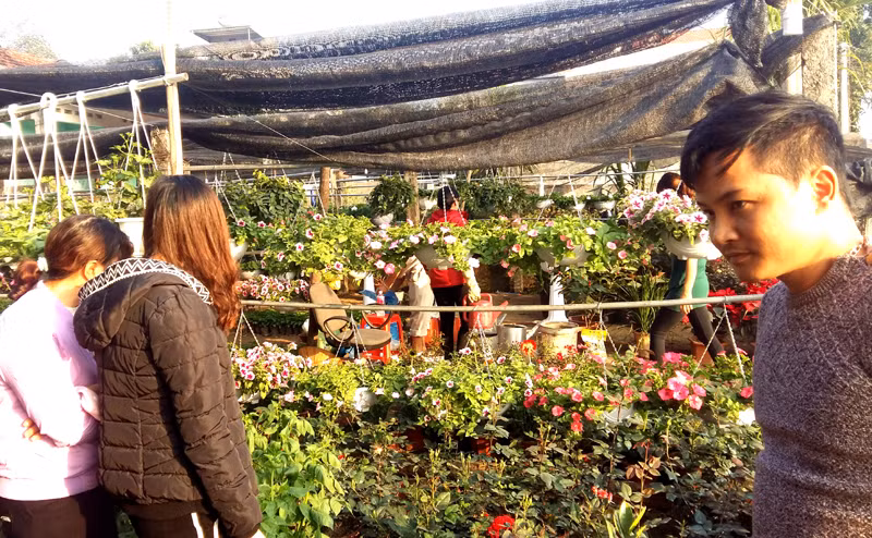 广宁省横蒲县迎来2018国家旅游年 ảnh 3