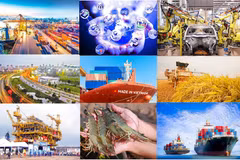 附图。（图片来源：越通社）