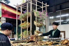 附图。（图片来源：越通社）