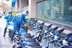 附图。（图片来源：越通社）