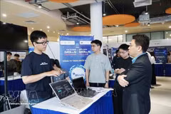 附图。（图片来源：越通社）
