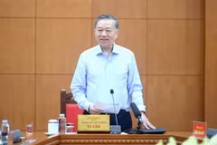 苏林总书记、国家主席在会上发表讲话。