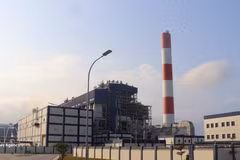 附图。（图片来源：越通社）