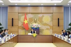 越南国会副主席阮鸿延在河内会见欧盟商会代表团。（图片来源：越通社）