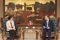 政府常务副总理范家足会见亚投行行长邹加怡。（图片来源：越通社）