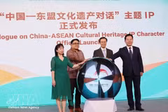以“生生不息 美美与共”为主题的中国—东盟文化遗产对话启动仪式。