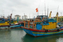 嘉莱省强化渔船管理 迈向可持续渔业发展。