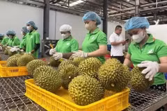 农产品溯源系统正式运行，标志着全国范围内统一的数据平台的形成。