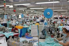 2025年，越俄双边贸易额达47.7亿美元。（图片来源：越通社）