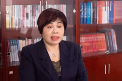 中国社会科学院大学教授潘金娥接受越南《人民报》驻华记者的采访。