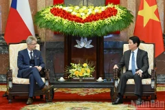 越南国家主席梁强会见捷克参议院议长米洛斯·维斯特奇尔。