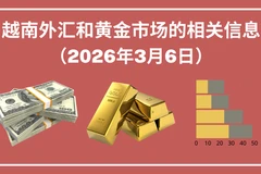 越南外汇和黄金市场的相关信息【图表新闻】