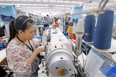附图：出口服装产业为全国出口总额作出重要贡献。
