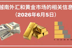 越南外汇和黄金市场的相关信息【图表新闻】