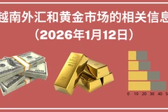 越南外汇和黄金市场的相关信息【图表新闻】