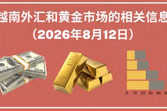 越南外汇和黄金市场的相关信息【图表新闻】