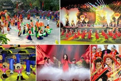 关于发展越南文化的第80号决议：到2030年越南文化发展的若干指标【图表新闻】