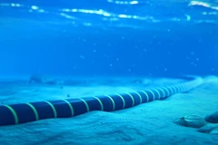 越南目前拥有6条海底光缆，包括AAG、IA、AAE1、APG、ADC和SJC2。