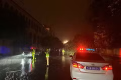 灾情发生后，该省各职能力量和地方政府立即紧密部署应对与灾后重建方案。