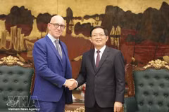 越南政府副总理胡国勇与赛默飞世尔科技公司董事长兼首席运营官吉安卢卡·佩蒂蒂。（图片来源：越通社）
