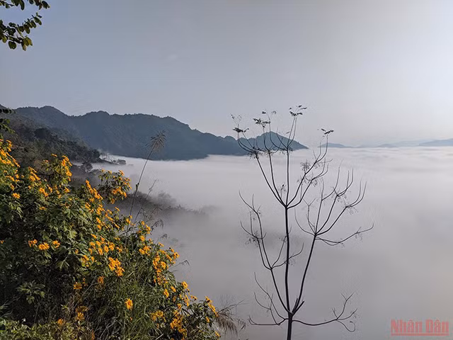 在層怪山口上猎云（组图） ảnh 1