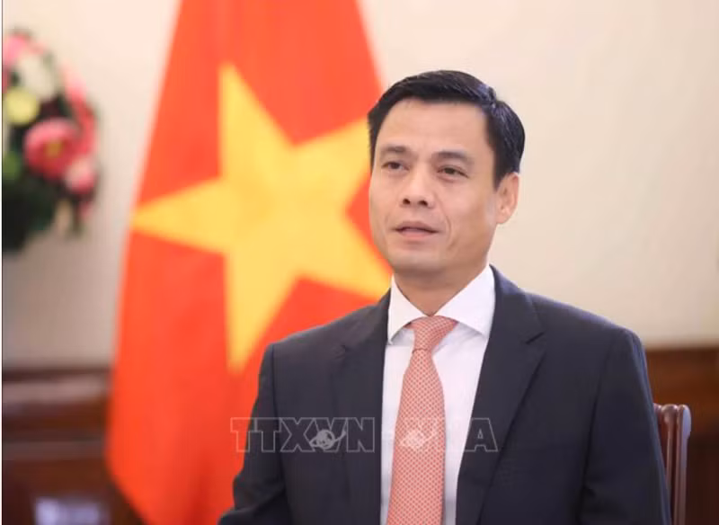 越南外交部副部长邓黄江。（图片来源：越通社）
