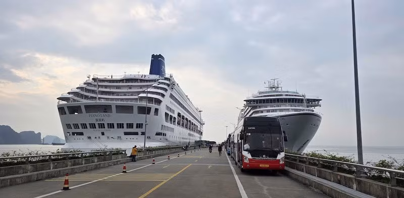 “海之安可号”和“钢琴乐园号”两艘游轮“冲年喜”下龙湾。