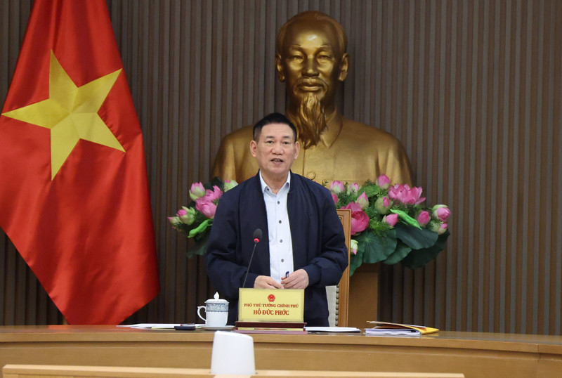 越南政府副总理、国家财政货币政策咨询委员会主席胡德福主持召开委员会会议。