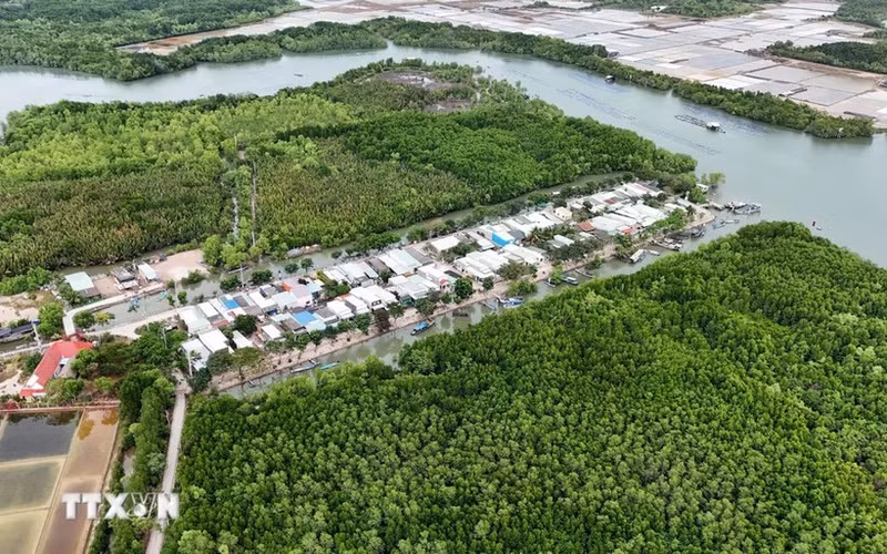 芹耶县盛安岛乡天连（Thiềng Liềng）村一角。（图片来源：越通社）