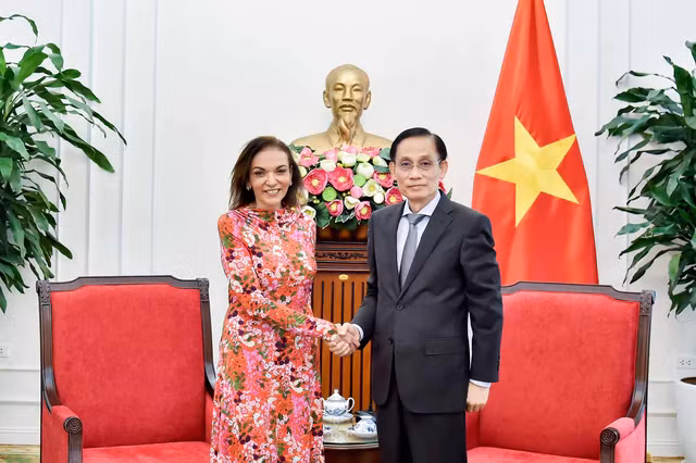 越南外交部长黎怀忠会见澳大利亚联邦众议员，国际发展部长安妮·阿丽。