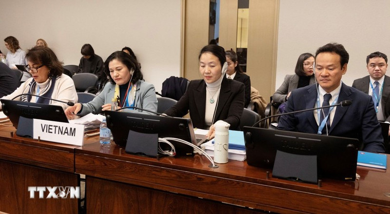 关于《消除对妇女一切形式歧视公约》第九次国家报告的审议对话会现场。（图片来源：越通社）