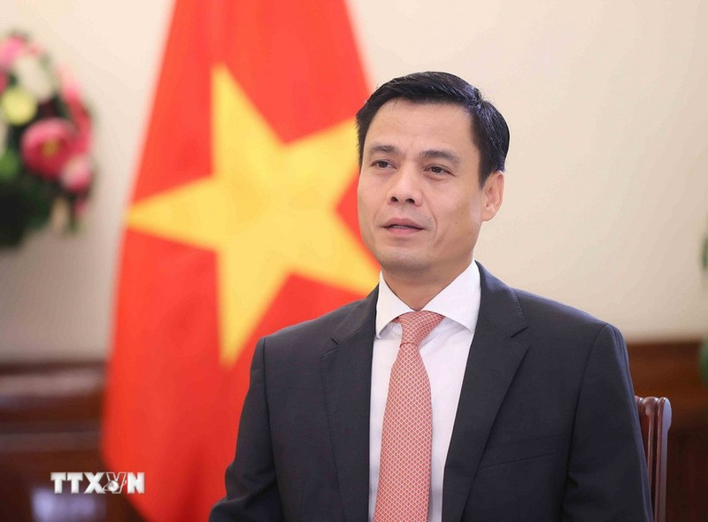 越南外交部副部长邓黄江。（图片来源：越通社）