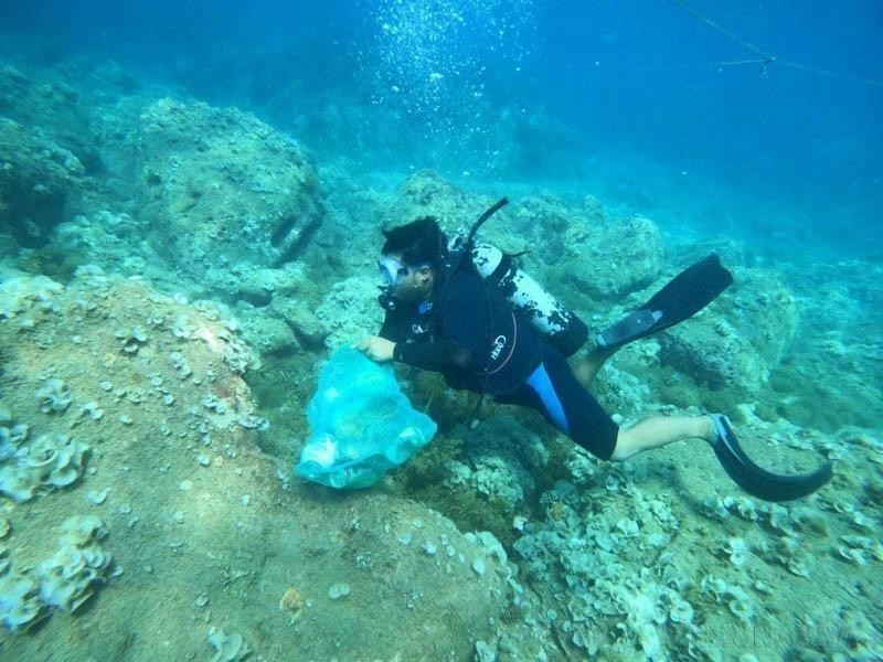 附图：收拾海底塑料垃圾。