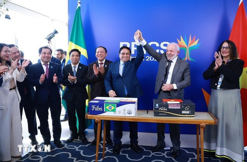 范明正总理与卢拉·达席尔瓦总统共同见证了首批从巴西出口至越南的冷藏牛肉集装箱启运仪式。（图片来源：越通社）