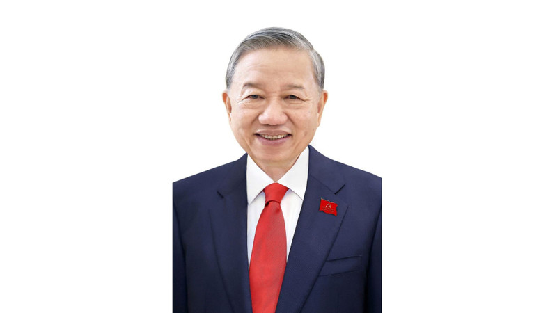 越南共产党第十四届中央委员会总书记苏林。