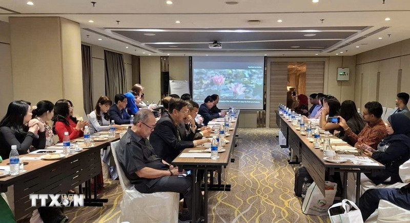 越南九龙江三角洲旅游促进会议现场。（图片来源：越通社）