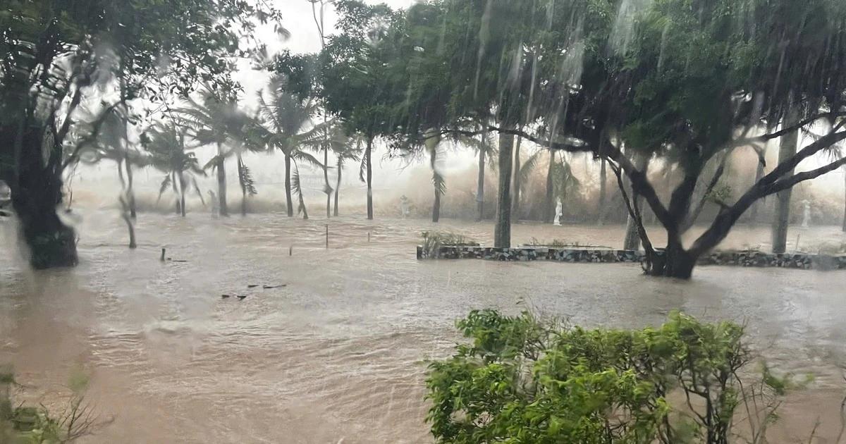 8月23日天气：第4号台风掀起10级阵风，北部地区及清化省将迎来强降雨