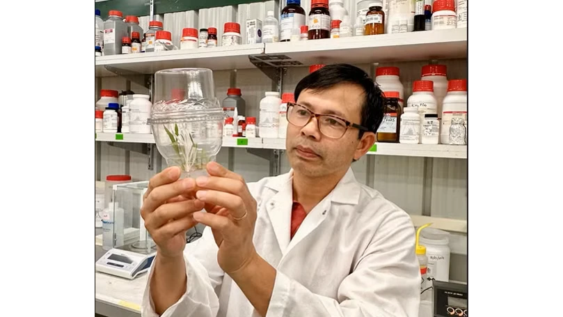 专家建议越南以遗传资源和新技术推动植物生物技术突破