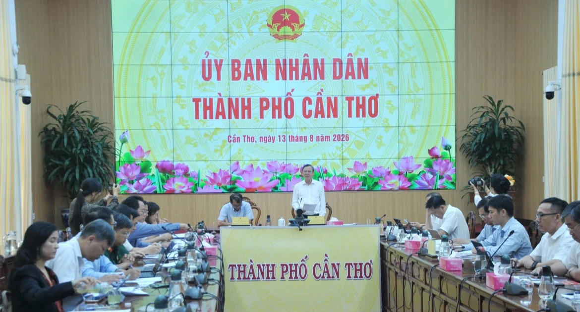 芹苴市应用人工智能 构建智能现代行政体系