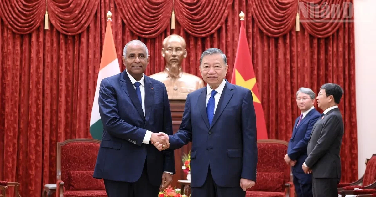 越共中央总书记、国家主席苏林会见科特迪瓦共和国国民议会议长帕特里克·阿希【组图】