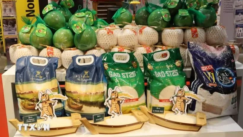越南ST25大米进入德国Selgros批发系统