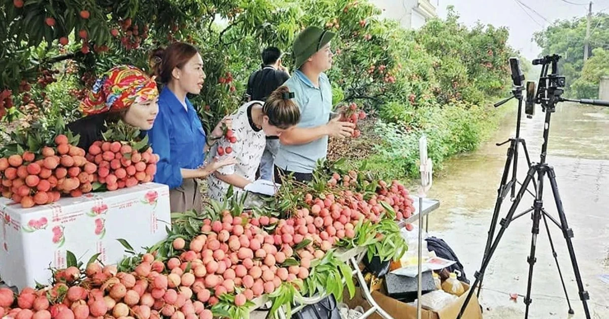 越南农产品“上线” 拓宽市场销路