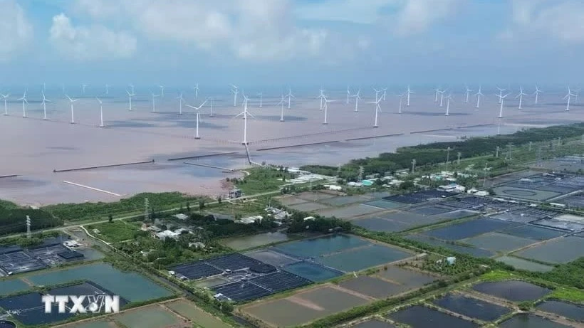 越南海上风电蓄势待发 越挪能源合作迎来新机遇